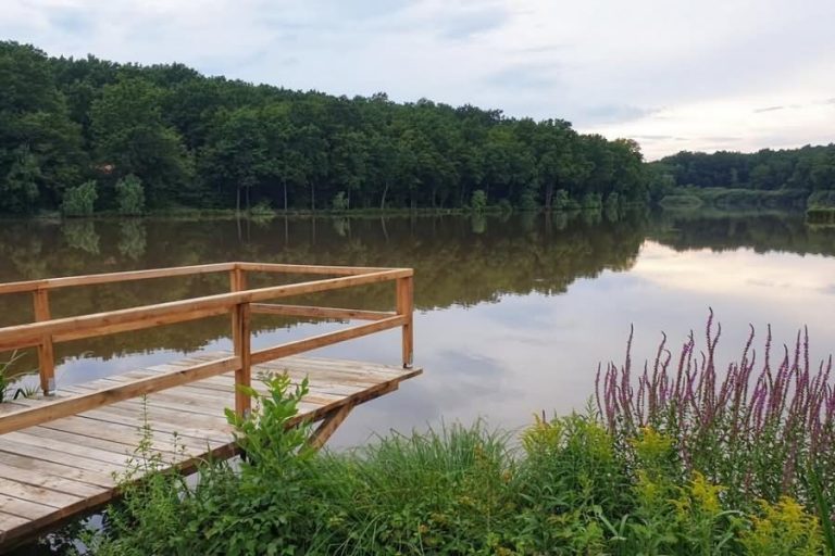 Bukovniško jezero Bukovniško jezero