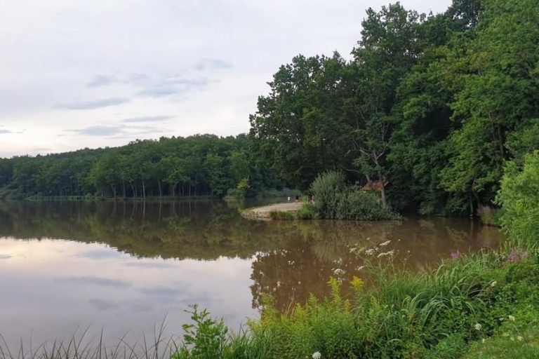 Bukovniško jezero Bukovniško jezero