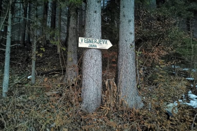 Vešnerjeva jama Fram