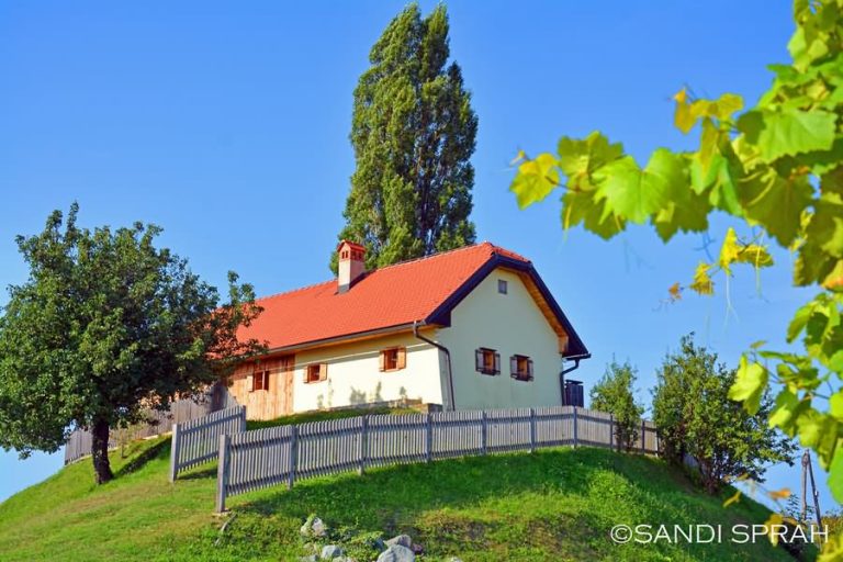 Viničarski muzej Podlehnik 2