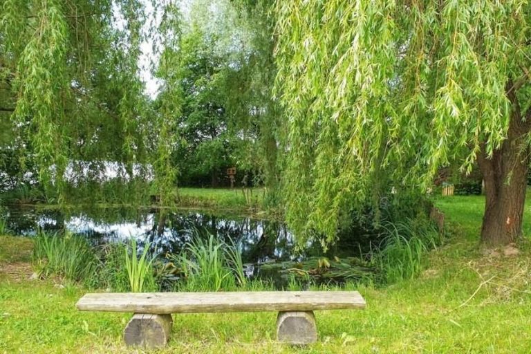 Bajer pri Trojiškem jezeru