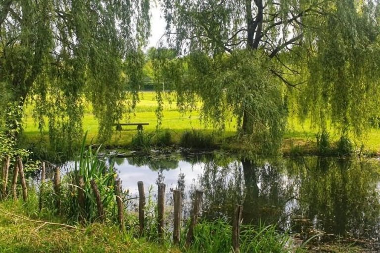 Bajer pri Trojiškem jezeru