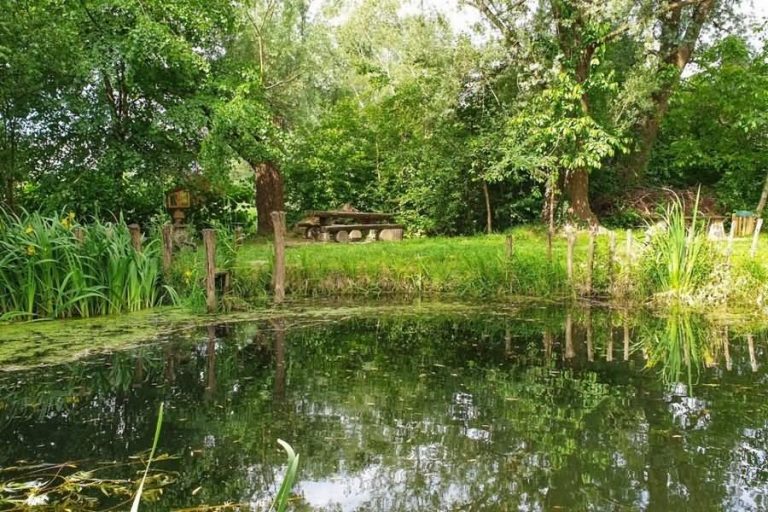 Bajer pri Trojiškem jezeru