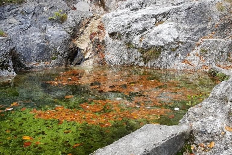 Bazen potoka Gorejca