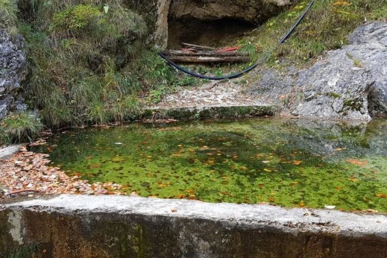 Bazen potoka Gorejca