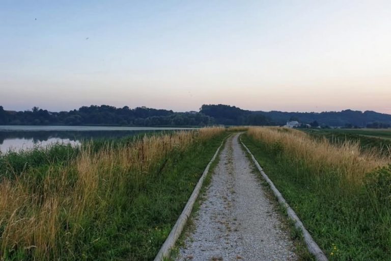 Gajševsko jezero Gajševsko jezero