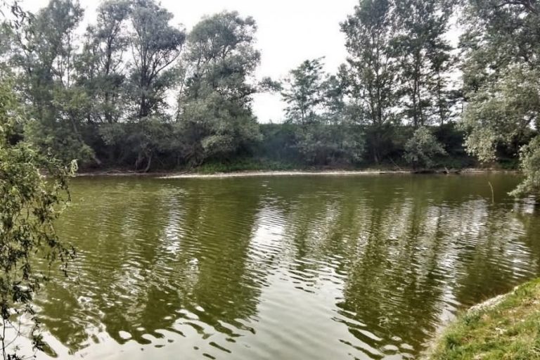 Galunov ribnik