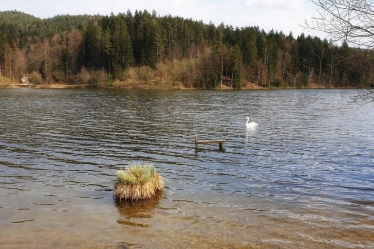 Gradiško jezero Gradiško jezero