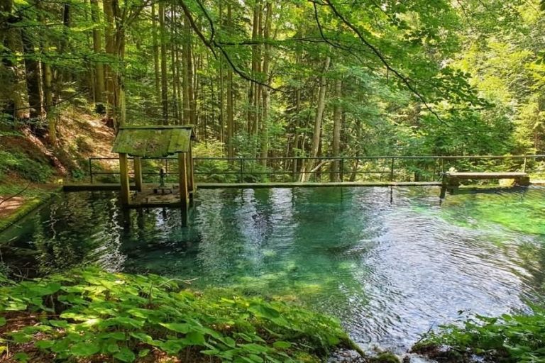 Zajetje potoka Javornik Zajetje potoka Javornik