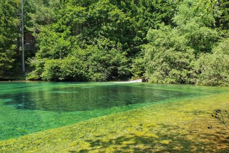 Javorniško jezero Javorniško jezero