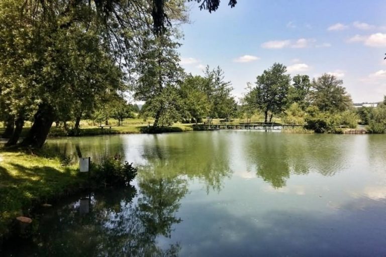 Mlačevska ribnika Mlačevska ribnika