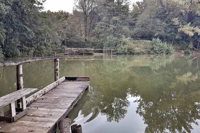 Podvinski ribnik Podvinski ribnik