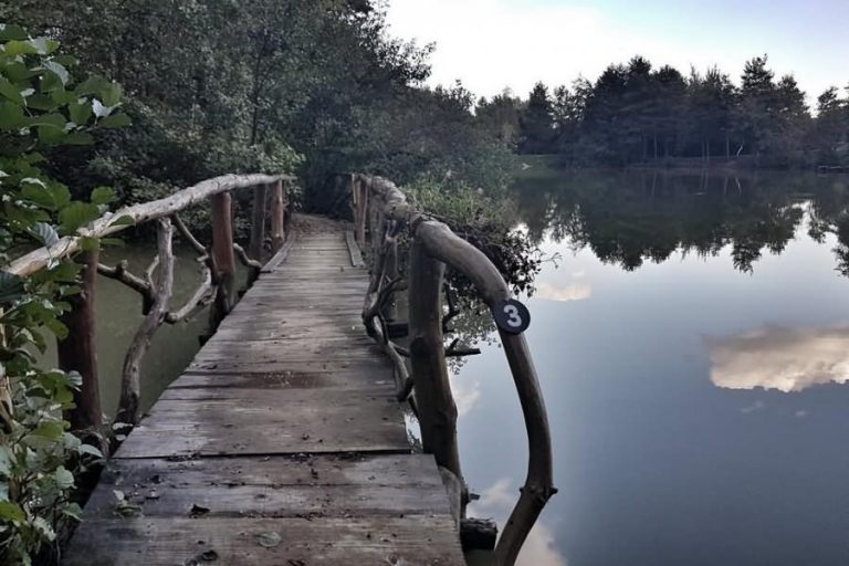 Podvinski ribnik Podvinski ribnik