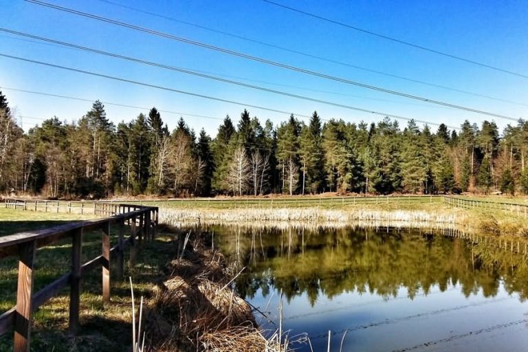 Prevojski ribniki Prevojski ribniki