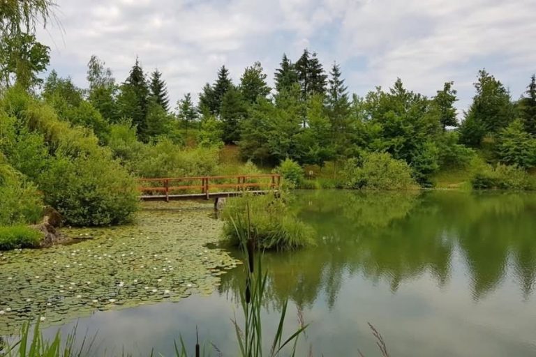 Ribnik Blato Ribnik Blato