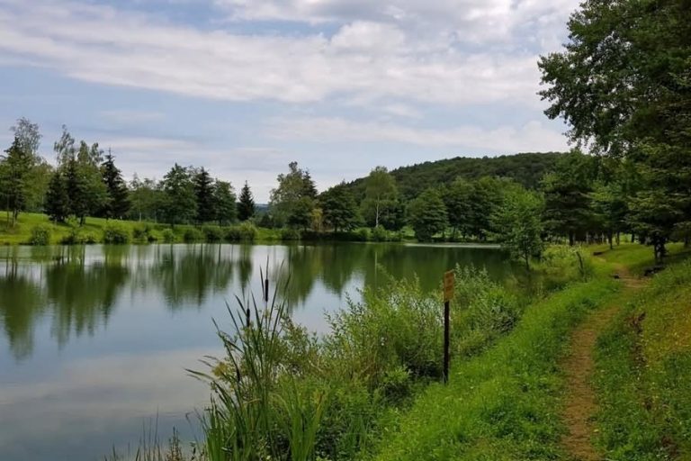 Ribnik Blato Ribnik Blato