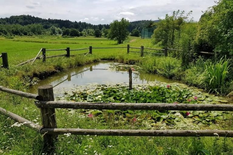 Ribnik Blato Ribnik Blato