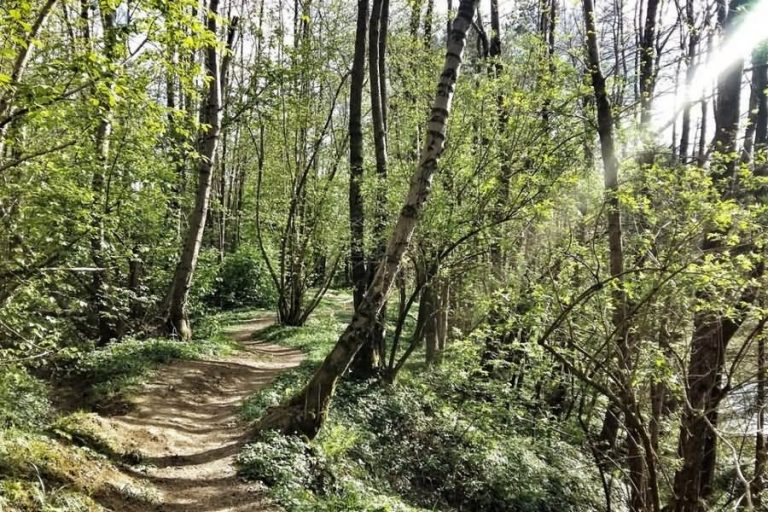 Ribniki Češnjevek Ribniki Češnjevek