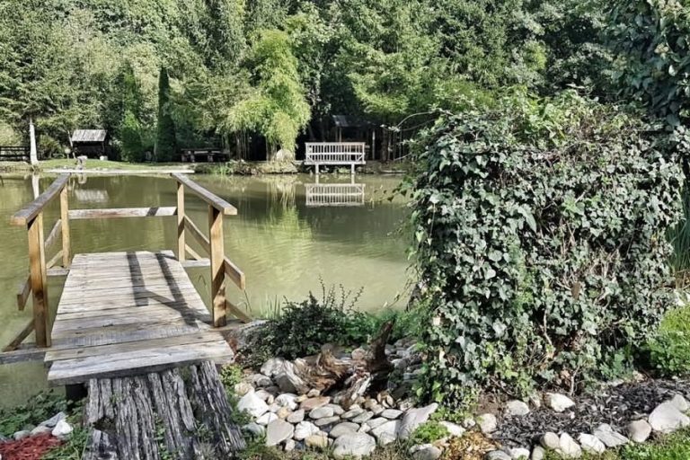 Ribnik Druškovič Ribnik Druškovič