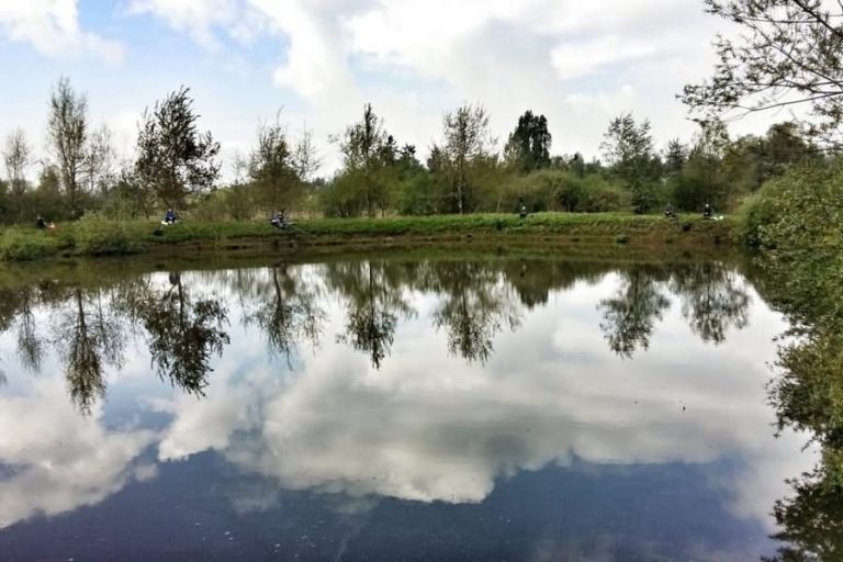 Ribnik v Grobišču Ribnik v Grobišču