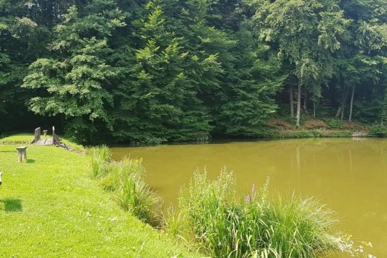 Ribnik Jernejček Ribnik Jernejček