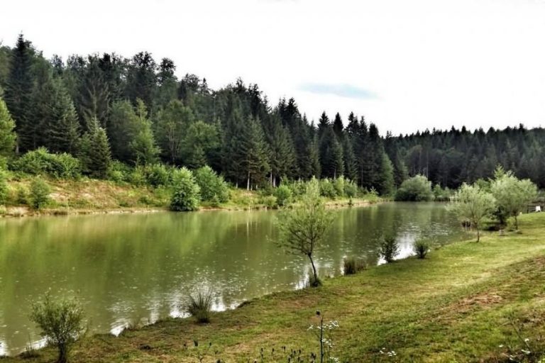 Ribnik v Kanižarici