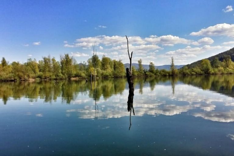 Ribniki pri stari opekarni