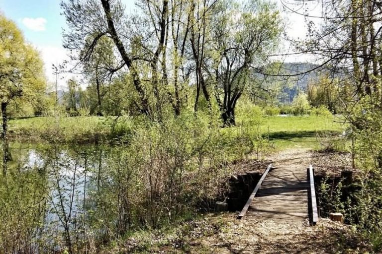 Ribniki pri stari opekarni