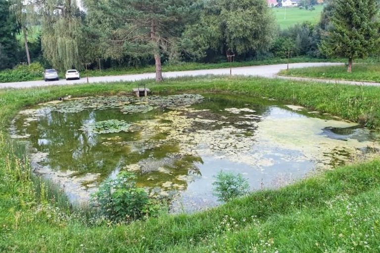 Ribnik ob Rimskem vrelcu