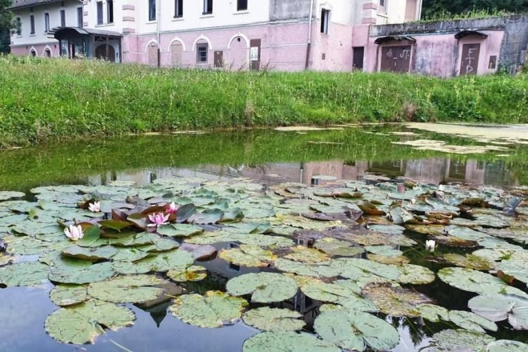 Ribnik ob Rimskem vrelcu