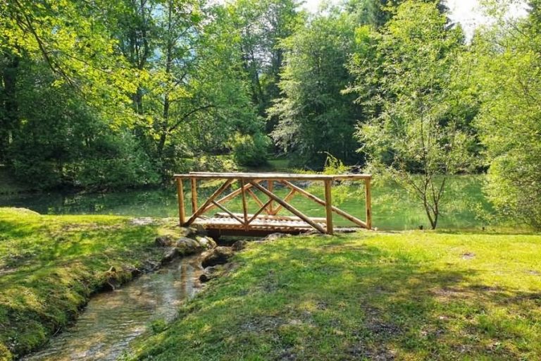 Jezerca v Triglavskem gaju