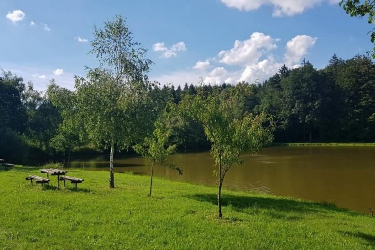 Videški ribniki Videški ribniki