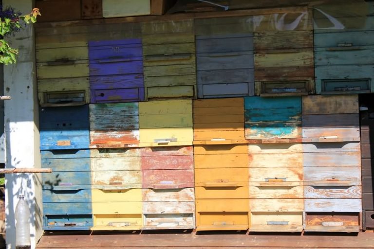 Hauzerjeva zbirka čebelnjakov