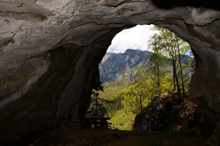 Erjavčeva jama Luče